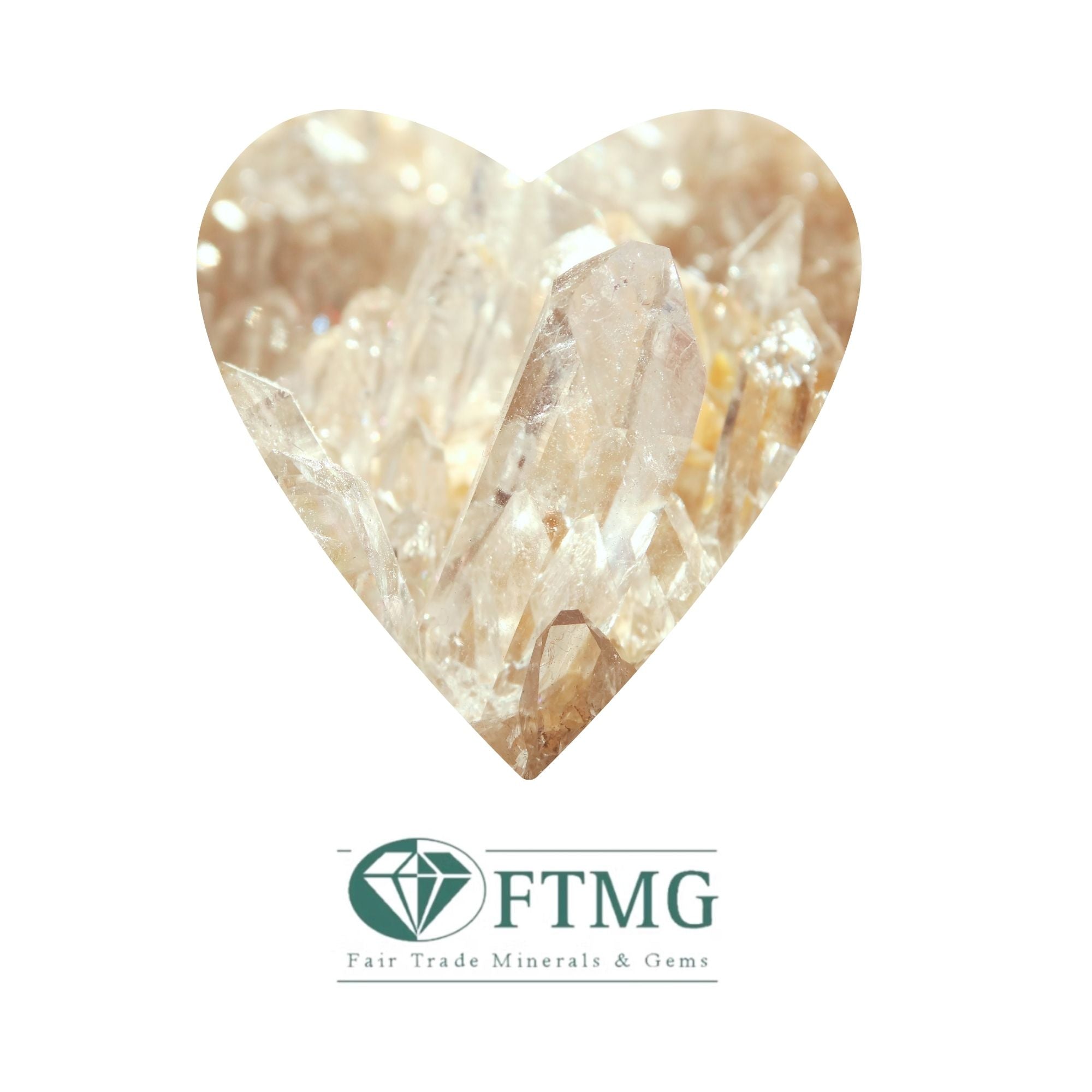 FTMG