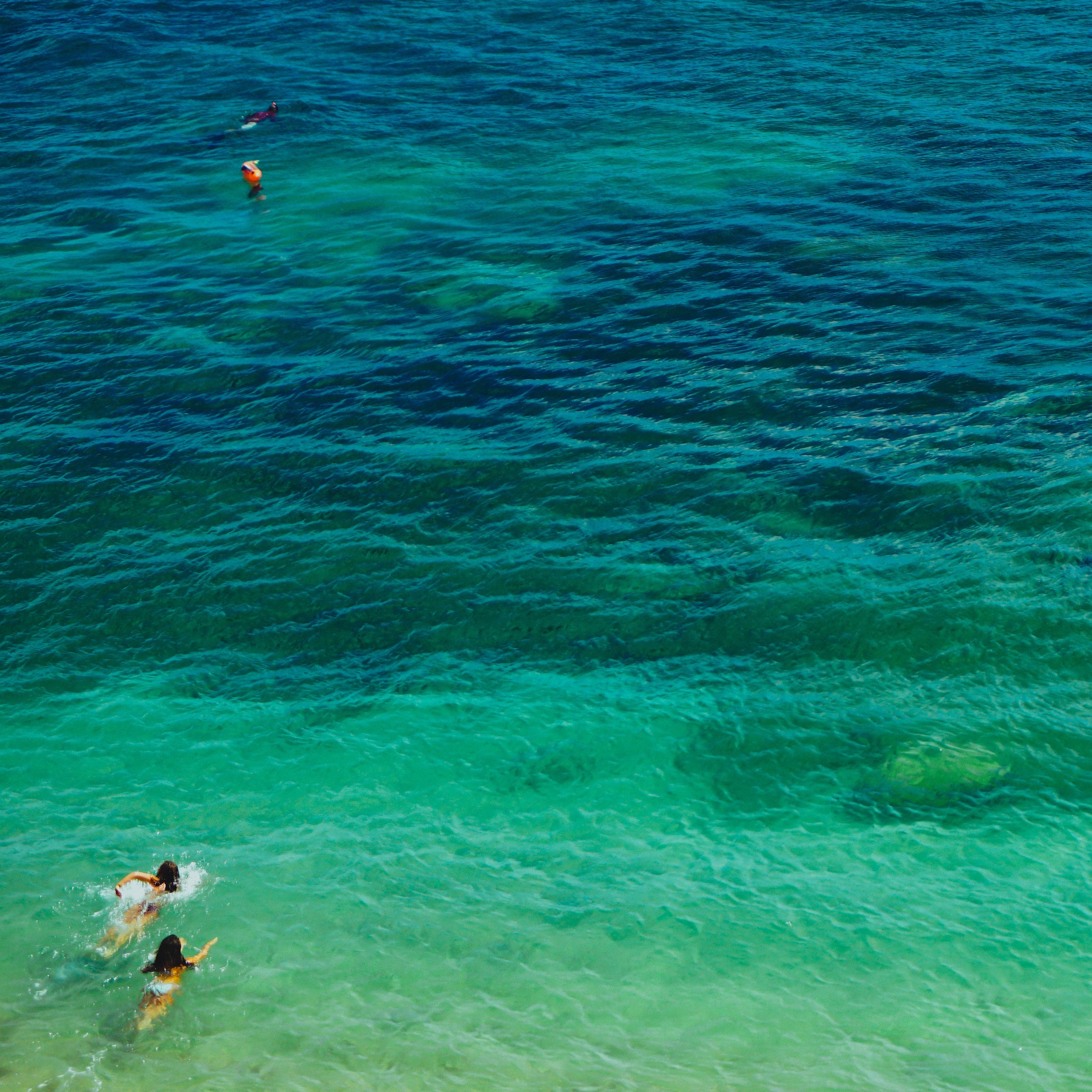 Schwimmen im Meer